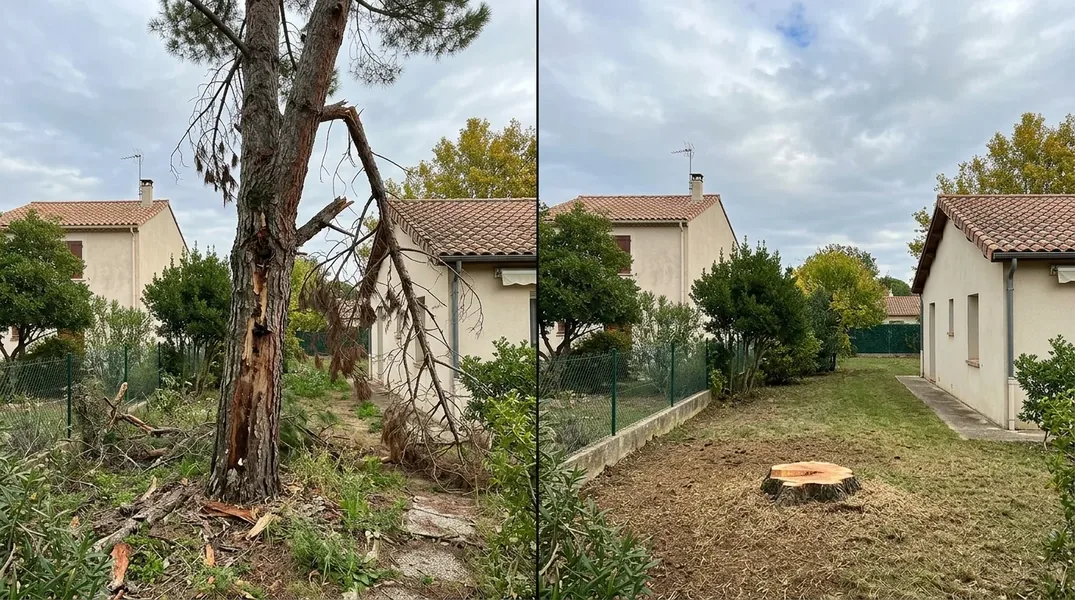 Résultat élagage à La Rochelle — Elagage La Rochelle