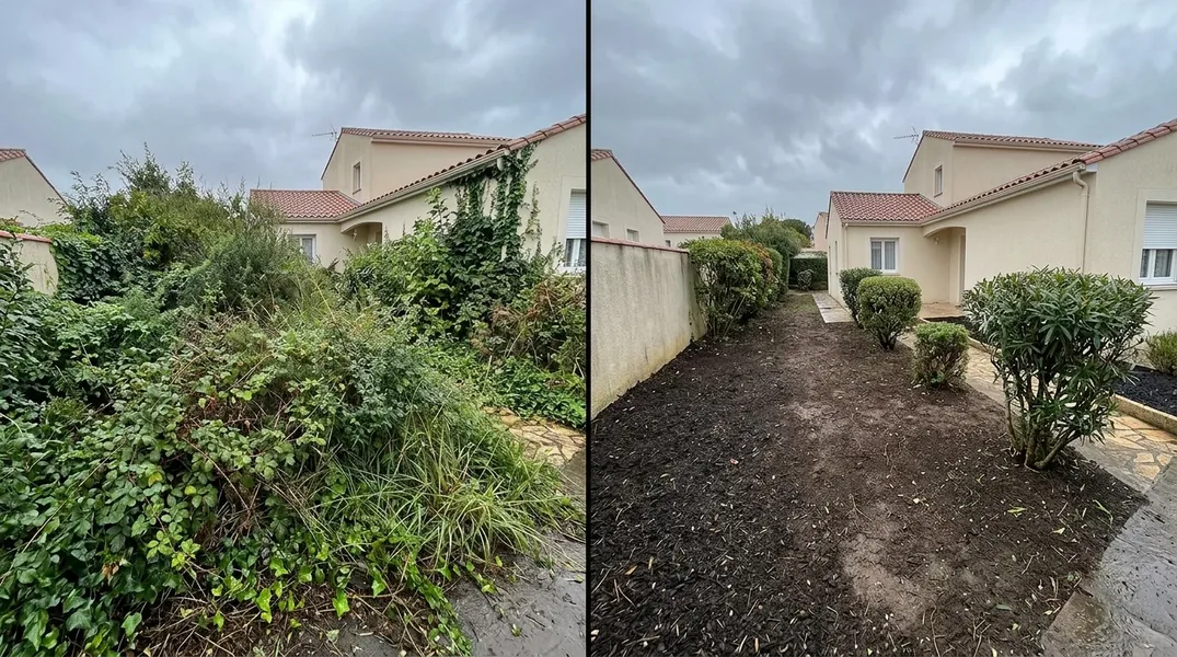 Résultat élagage à La Rochelle — Elagage La Rochelle